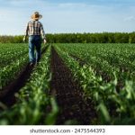 9001开奖直播现场全程高清在线观看 06cp6r