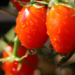 NBA篮球赛事直播:热血对决即刻开启 xlh95v12l1